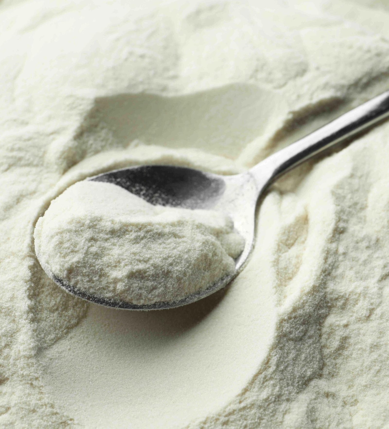 Top quality Milk Powder Suppliers in Dubai | UAE Bulk Supply